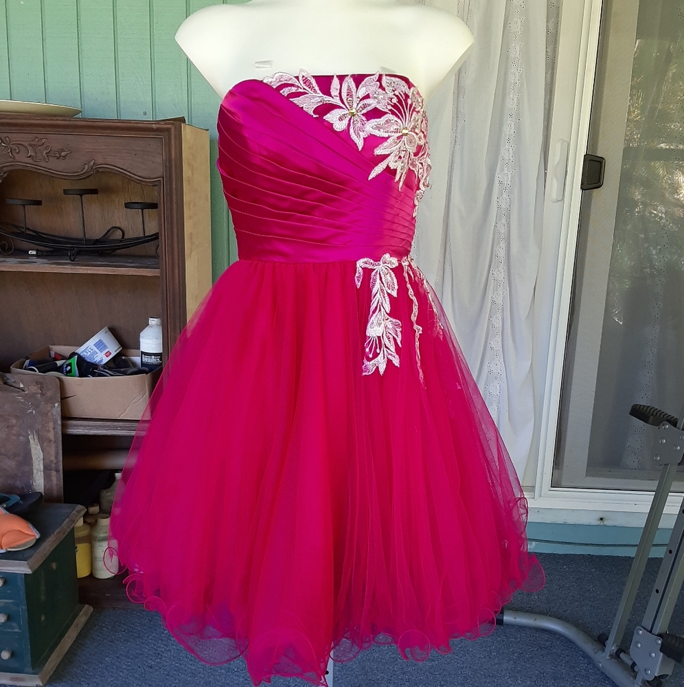 Pink nelson gown Small. Jewels and embroidery